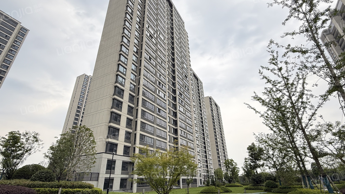 德信星宸外景图