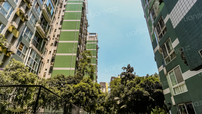 新绿季节外景图