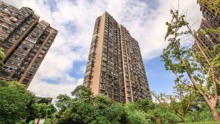 中大紫都外景图