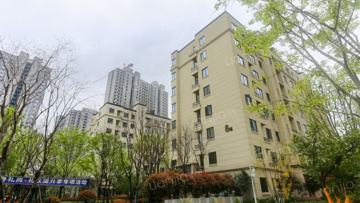 德信江南大院外景图