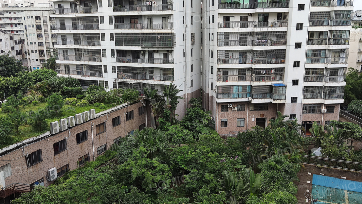 金城一品外景图