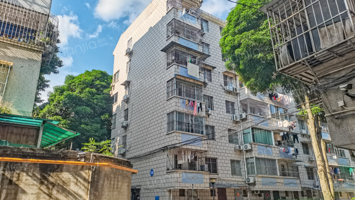 金花茶公园生活区外景图