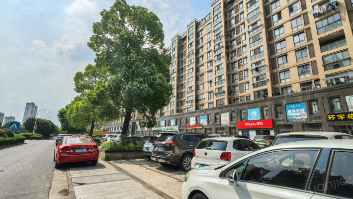 领秀花都外景图