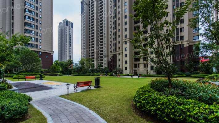 万科森林公园曦园外景图