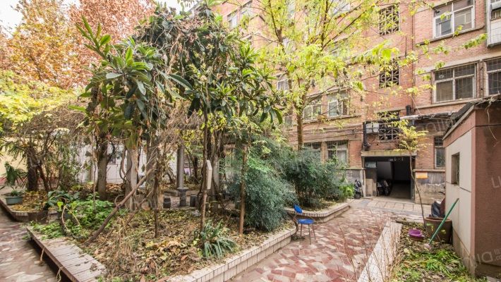 郑州十一中3号家属院外景图