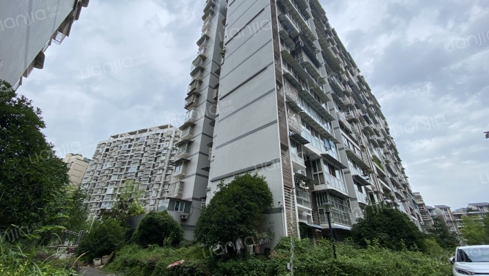 河东花园B区外景图