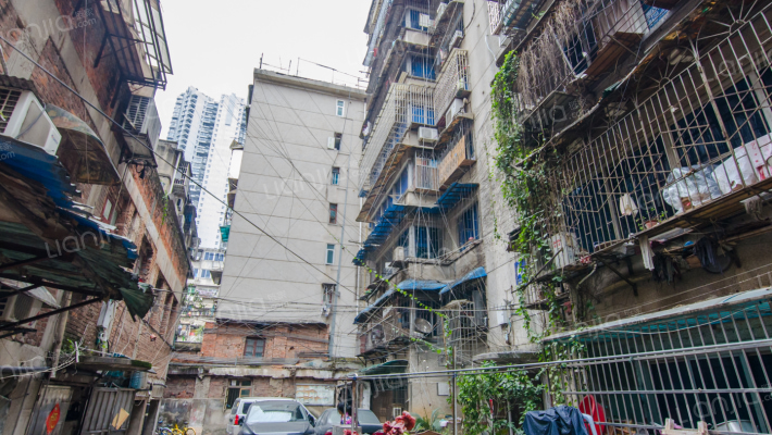 宏金花园外景图