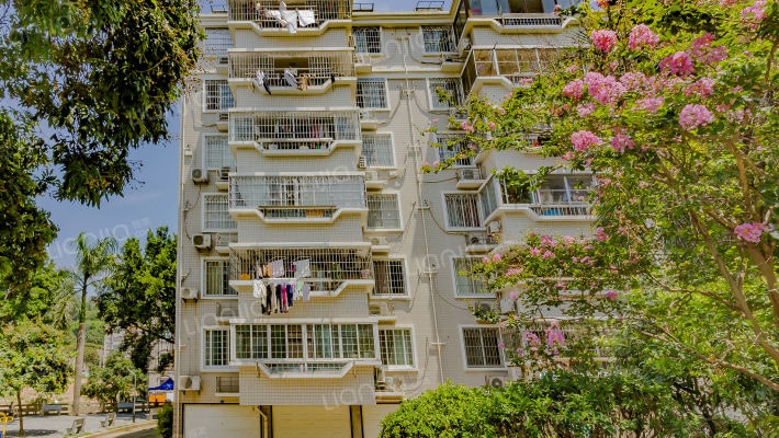 八一六花园外景图