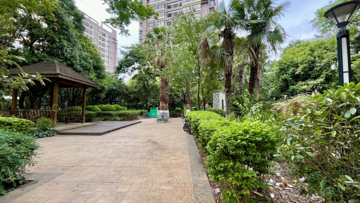 光辉城市外景图