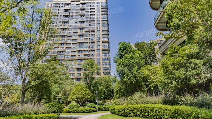 南江壹号外景图