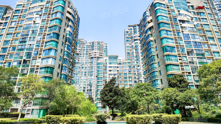 嘉禾现代花城外景图