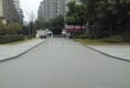 春天大道7