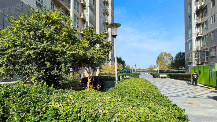 泰华龙旗广场外景图