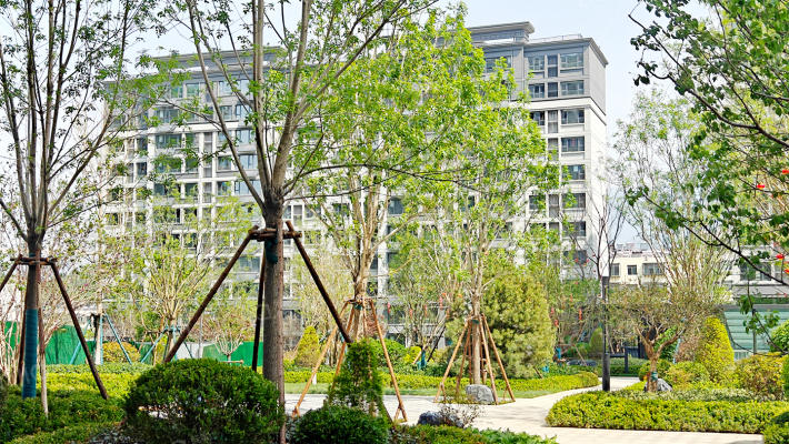 中悦新城外景图