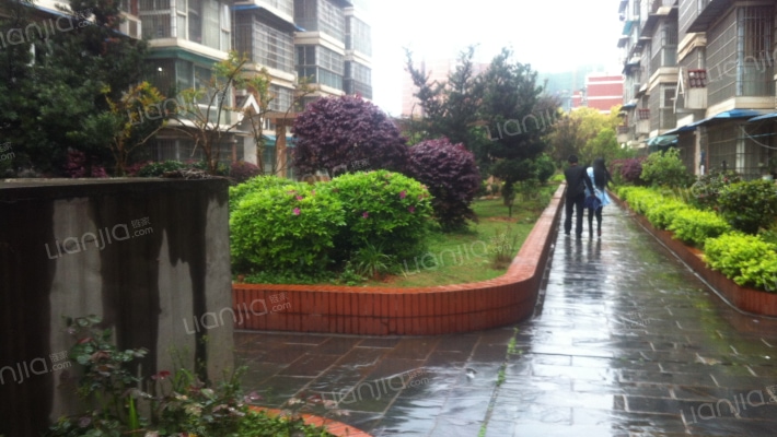 怡情水乡外景图