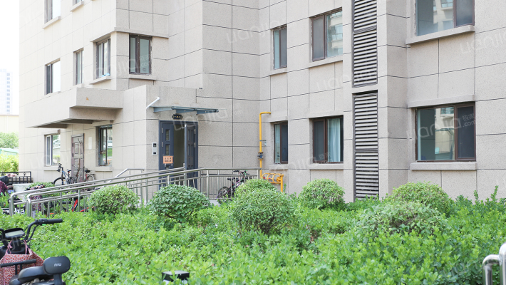 鼎宇花园外景图