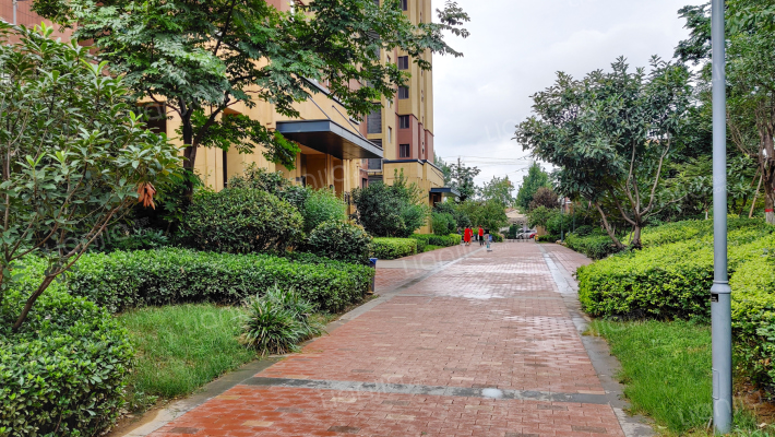 高科绿水东城四期外景图
