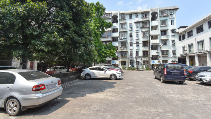 工行宿舍区大院外景图