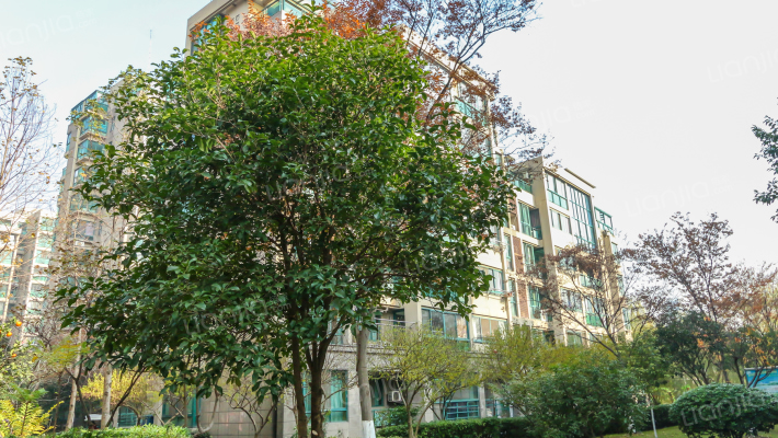 锦绣江南(相城区)外景图