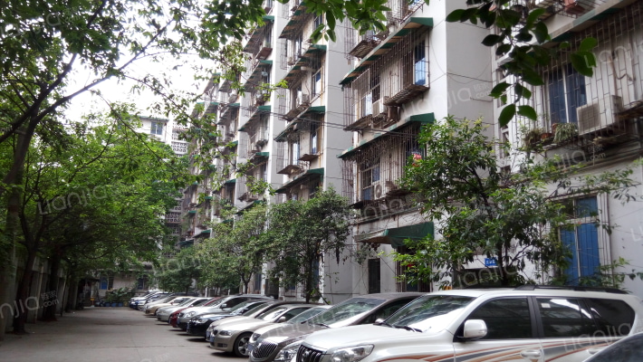 圃园路4号外景图