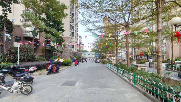 凤湖新城四区外景图