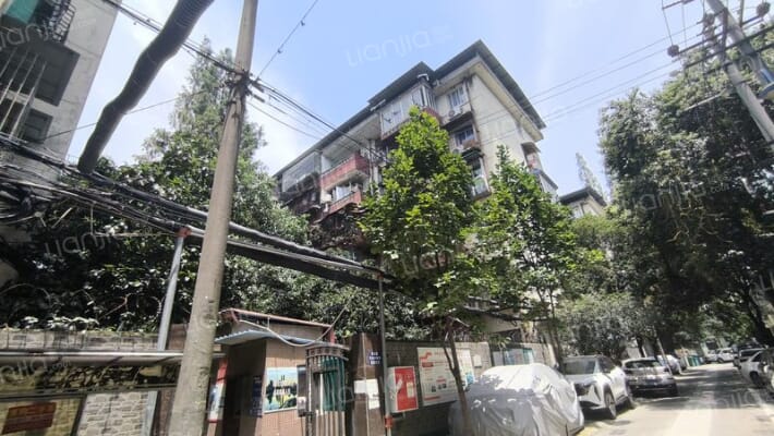 双林中横路51号院外景图