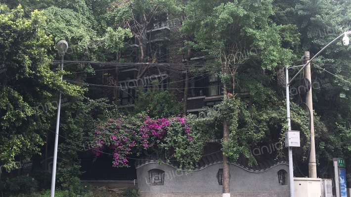 龙景花园外景图