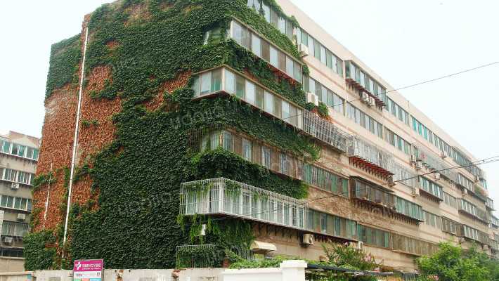 影壁后街外景图