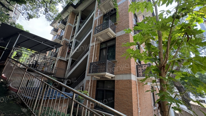 乐群路7号外景图