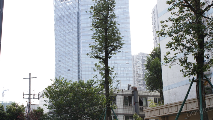 国嘉新视界外景图