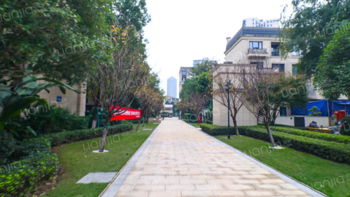 金科天元道C区外景图