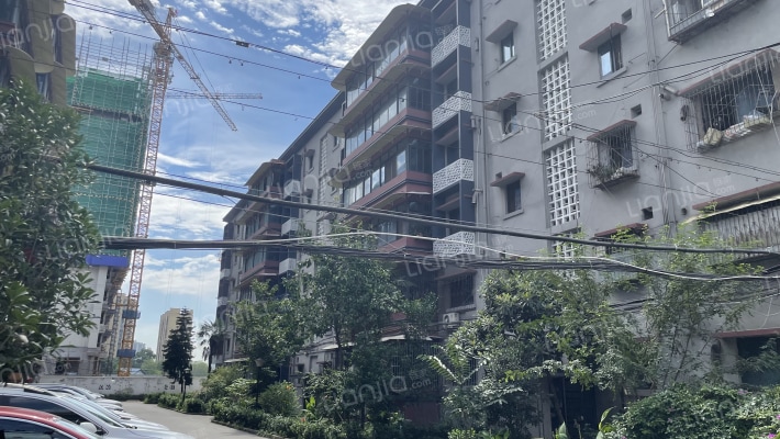 槐树店26号外景图