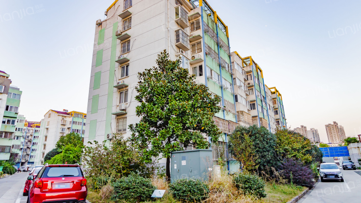 金香花园外景图