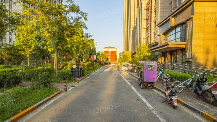 中科紫峰外景图