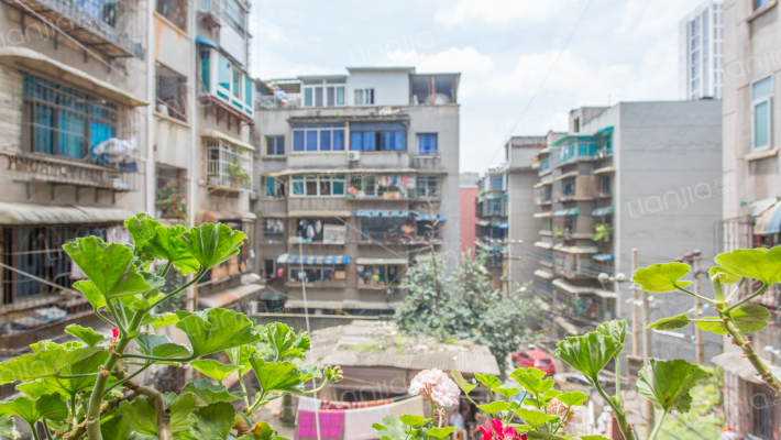 狮峰路16号小区外景图