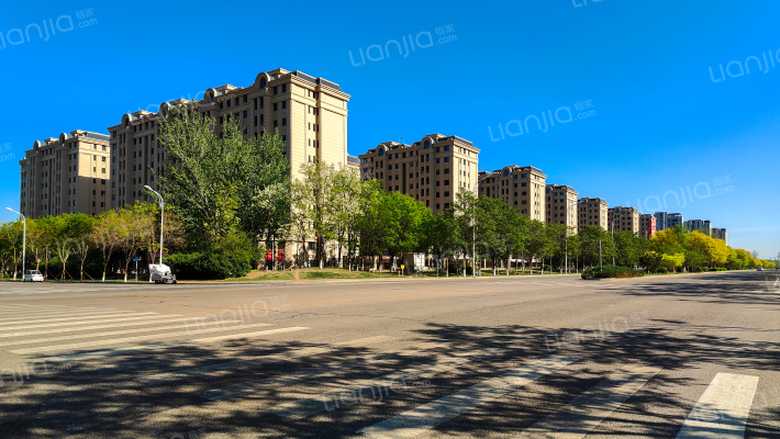 特变中央湖外景图