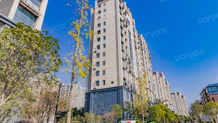 五洲龙湾B区外景图