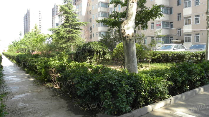 太平路44号院外景图