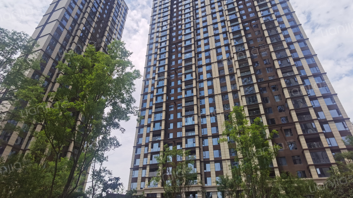 滨江樾府外景图