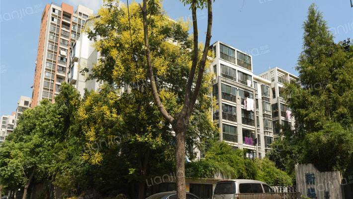 新泉嘉园外景图