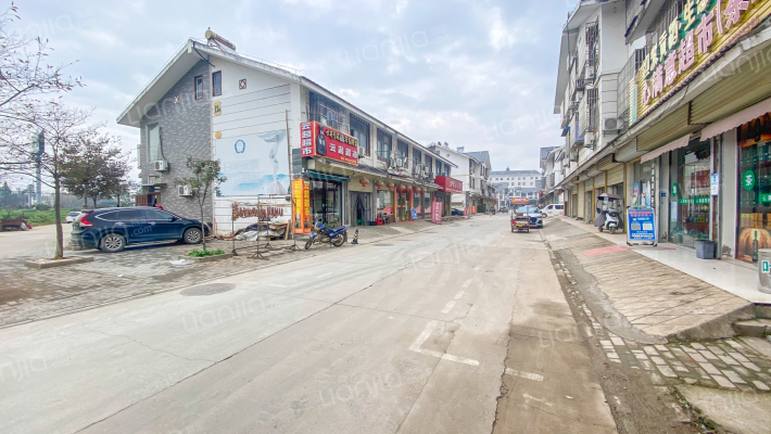 紫蓬社区商业街外景图