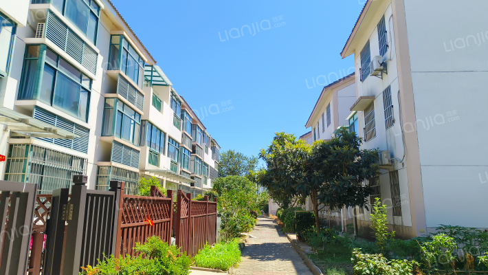 秀泾苑北区外景图