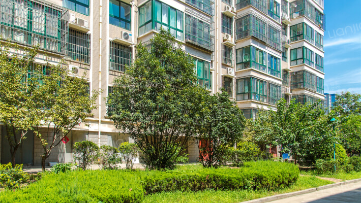 阳光春城外景图