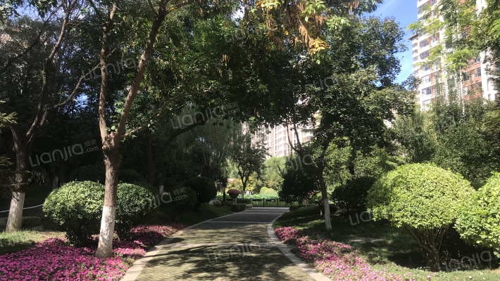 海棠公社南区外景图