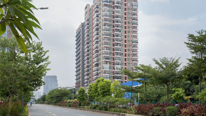 金凤凰豪苑外景图