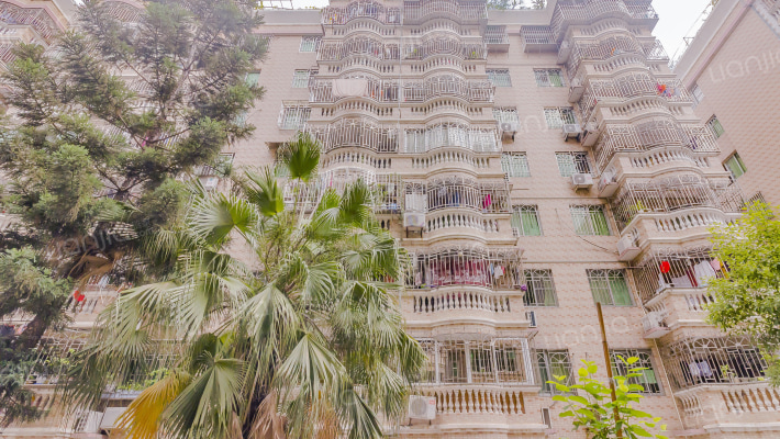 东显花园外景图