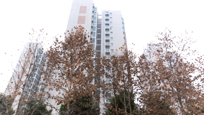 河湾新家园外景图