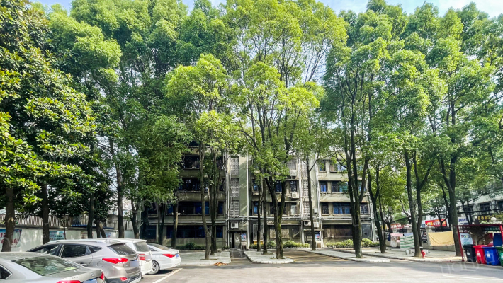 教育考试中心家属院外景图