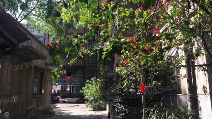 协和村16号外景图