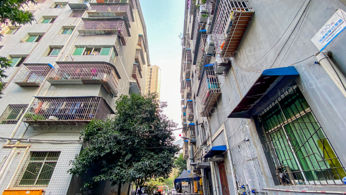 芋荷路10号附2号外景图